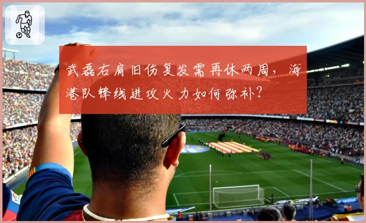 武磊右肩旧伤复发需再休两周，海港队锋线进攻火力如何弥补？